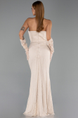 Robe de Soirée Longue Dantelle Beige ABU5717