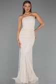 Robe Queue de Poisson Longue Dantelle Beige ABU6256