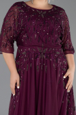 Robe De Soirée Grande Taille Longue Prune ABU6489