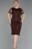 Robe De Invitation Grande Taille Midi Dantelle Brun ABK2673