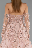 Robe de Soirée Longue Poudre ABU5658