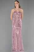Robe de Soirée Longue Perlé Poudre ABU6564