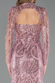 Robe de Soirée Longue Perlé Poudre ABU6564