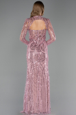 Robe de Soirée Longue Perlé Poudre ABU6564