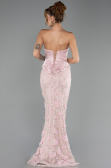 Robe de Soirée Longue Dantelle Poudre ABU6656