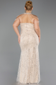 Robe De Soirée Grande Taille Longue Perlé Beige ABU6632