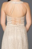 Bej Payetli Nişan Elbisesi AN2556