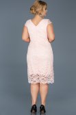 Robe Grande Taille Courte Poudre ABK010