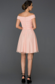 Robe d'Invitation Courte Poudre ABK015