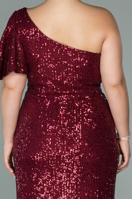 Robe Grande Taille Longue Rouge Bordeaux ABU1893