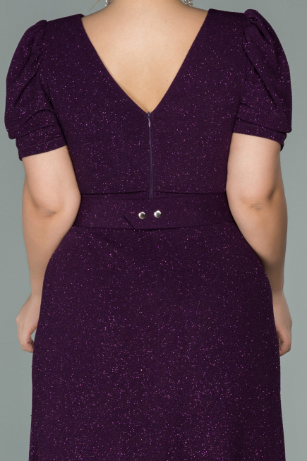 Robe Grande Taille Longue Prune ABU1904