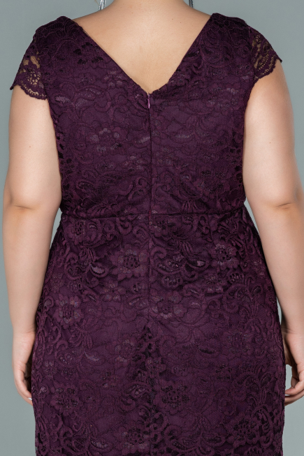 Robe Grande Taille Courte Prune ABK010
