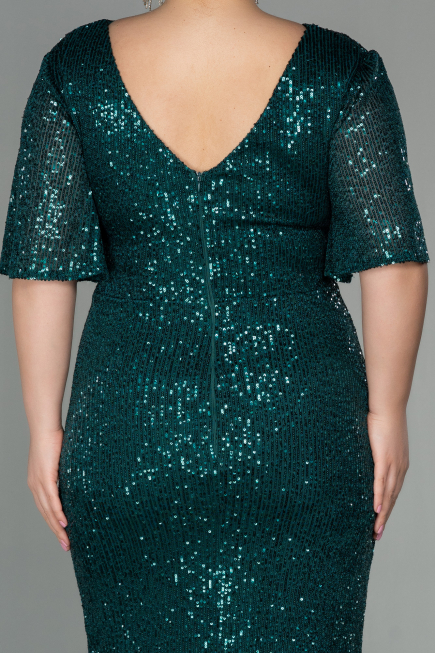 Robe de Soirée Grande Taille Longue Squameuse Émeraude ABU2796