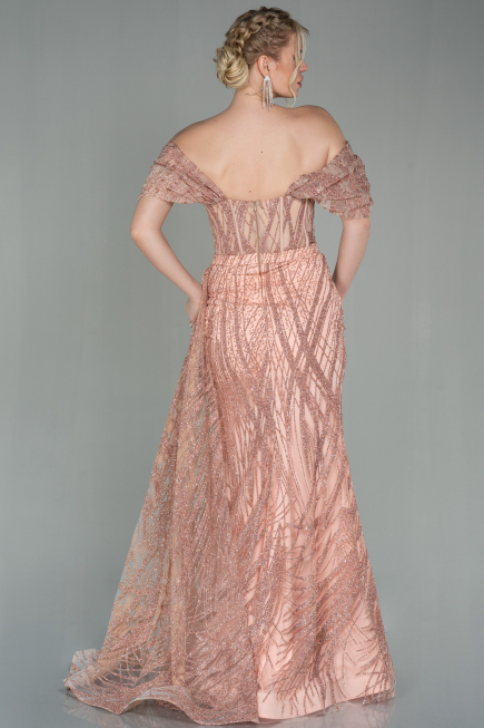 Robe De Soirée Longue Poudre ABU2706