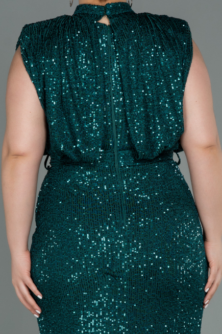 Robe de Soirée Grande Taille Longue Squameuse Émeraude ABU3115