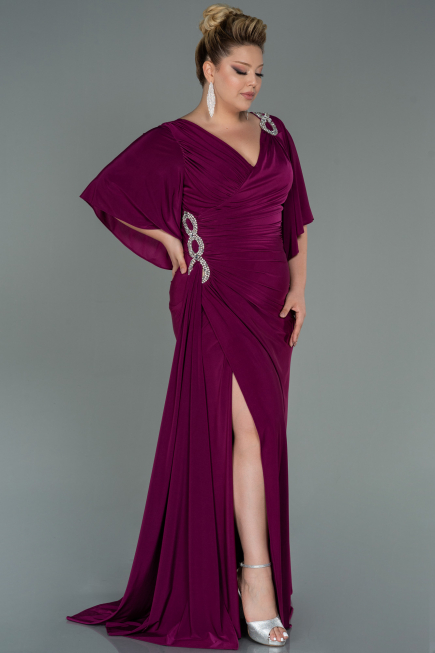 Robe Grande Taille Longue Prune ABU3173