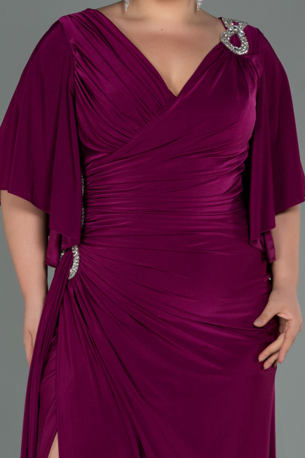 Robe Grande Taille Longue Prune ABU3173