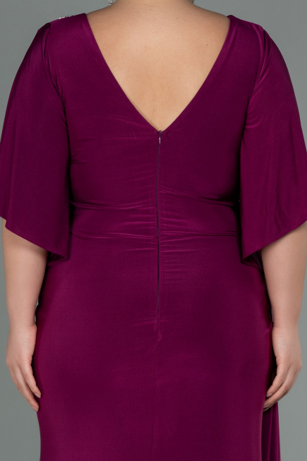 Robe Grande Taille Longue Prune ABU3173