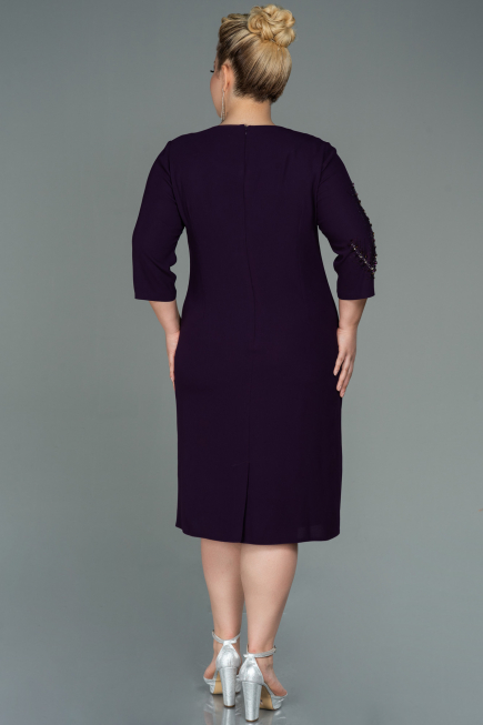 Robe De Soirée Grande Taille Midi Prune ABK1621