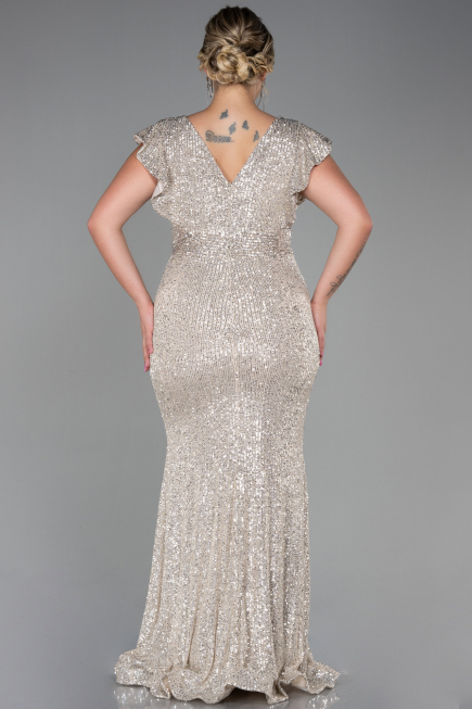Robe Grande Taille Longue Vison ABU1045