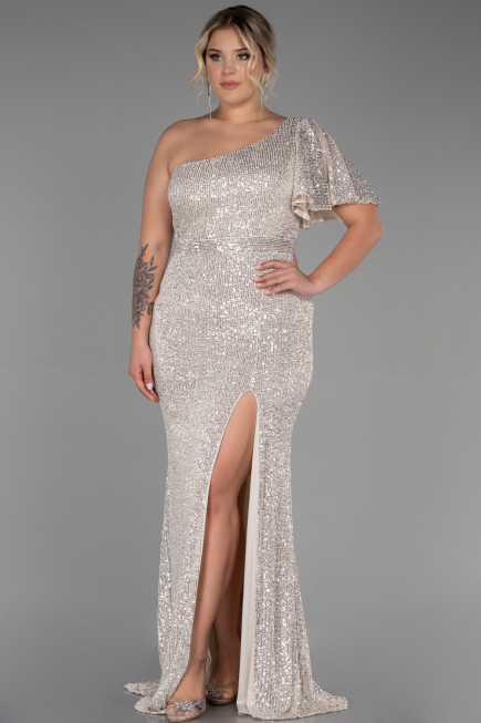 Robe Grande Taille Longue Vison ABU1893