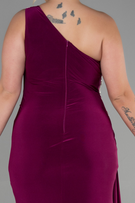 Robe Grande Taille Longue Prune ABU3132