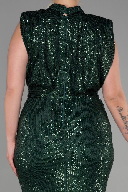 Robe De Soirée Grande Taille Squameuse Longue Vert ABU3115