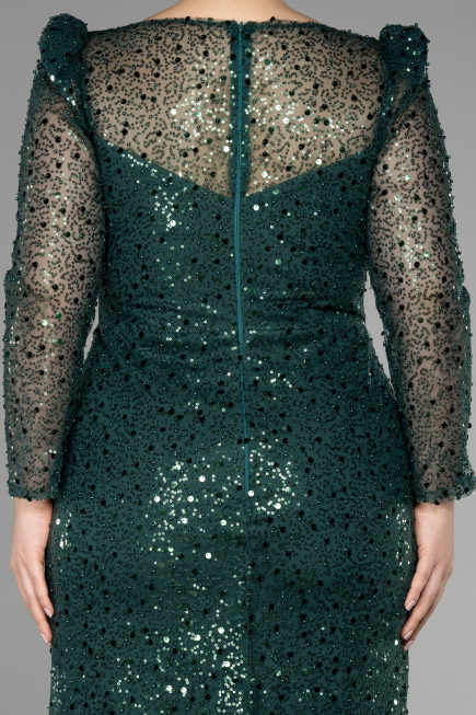 Robe De Fiançailles Grande Taille Longue Squameuse Émeraude ABU3559