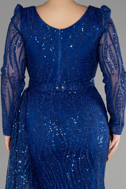 Robe De Fiançailles Grande Taille Longue Bleu Saxe ABU3562