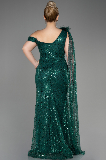 Robe De Fiançailles Grande Taille Longue Squameuse Émeraude ABU3859