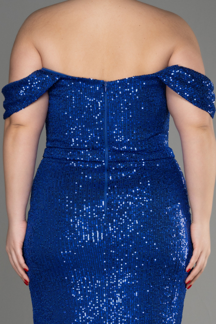 Robe De Fiançailles Grande Taille Longue Bleu Saxe ABU3919