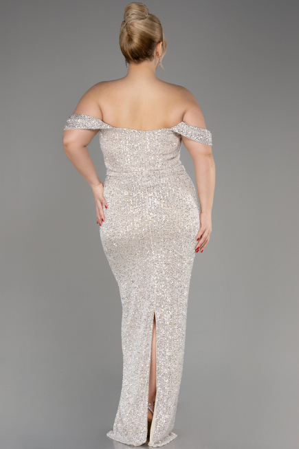 Robe De Fiançailles Grande Taille Longue Vison ABU3919