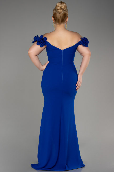 Robe De Graduation Grande Taille Longue Bleu Saxe ABU3946