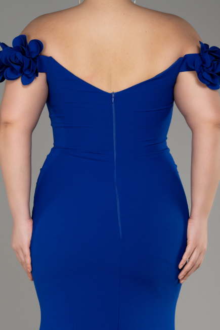 Robe De Graduation Grande Taille Longue Bleu Saxe ABU3946