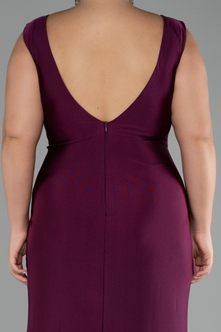 Robe Grande Taille Longue Prune ABU3737