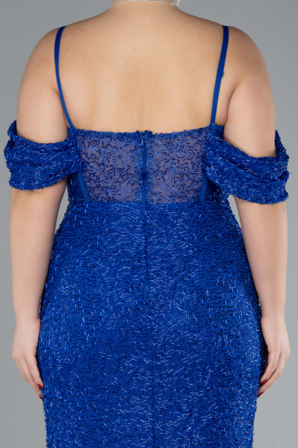 Robe De Fiançailles Grande Taille Longue Perlé Bleu Saxe ABU4395