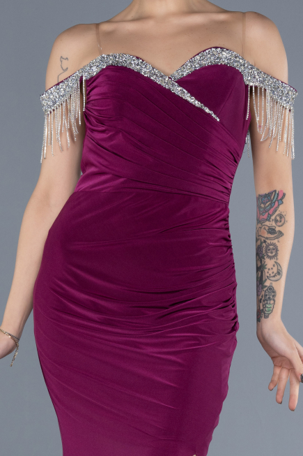 Robe de Soirée Longue Prune ABU4553