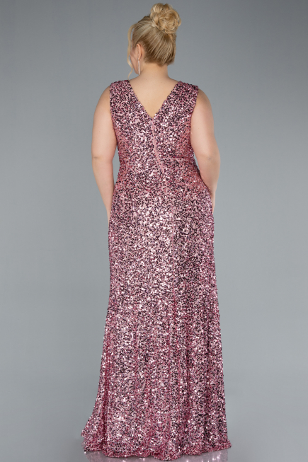 Robe de Soirée Grande Taille Longue Poudre ABU4673