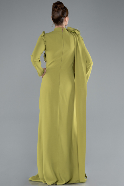 Tenue de Soirée Voilée Longue Pistache vert ABU4934