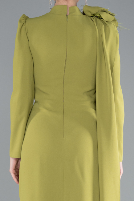 Tenue de Soirée Voilée Longue Pistache vert ABU4934