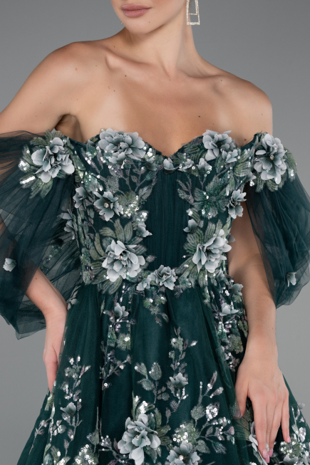 Robe De Fiançailles Grande Taille Longue Émeraude ABU5076