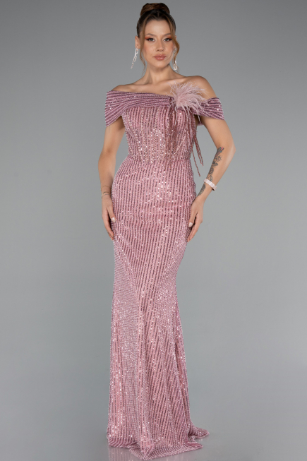 Robe de Soirée Longue Perlé Poudre ABU5183