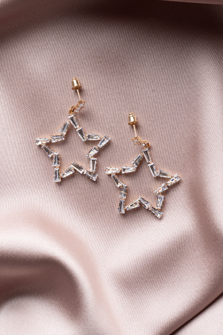 Boucle d'Oreille Or-Rose séchée UK928