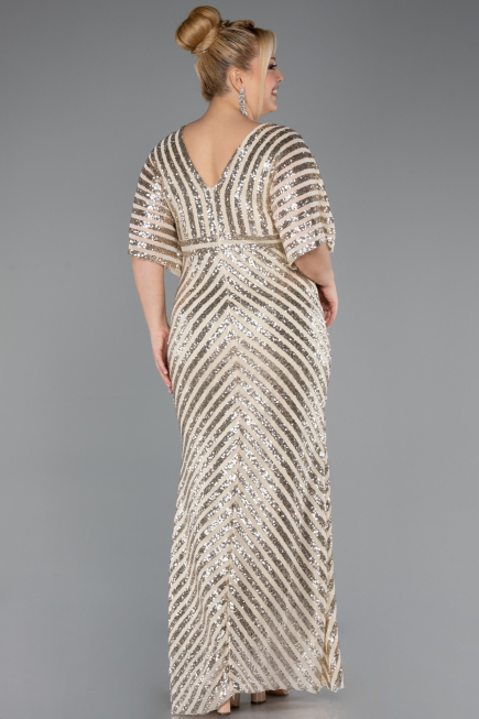 Robe De Soirée Grande Taille Longue Vison ABU2309