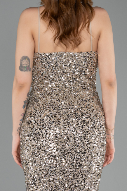 Robe De Soirée Squameuse Longue Vison ABU4842