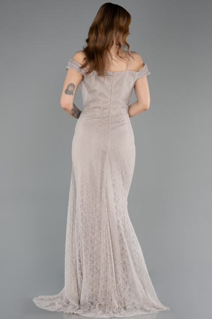 Robe de Soirée Longue Dantelle Vison ABU5841