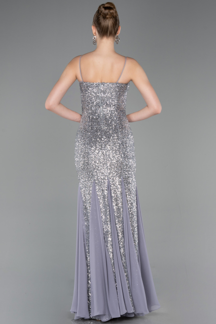 Robe Queue de Poisson Longue Argent ABU5939