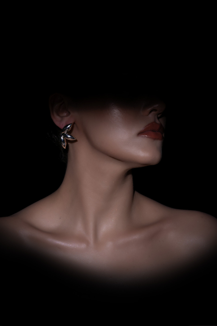 Boucle d'Oreille Argent DF1017