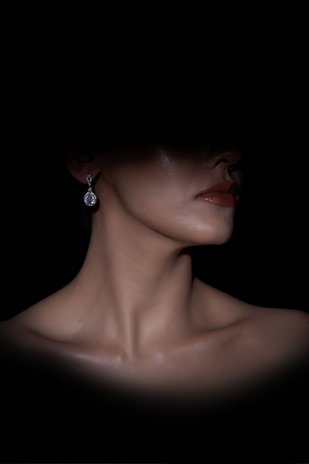 Boucle d'Oreille Argent DF1019