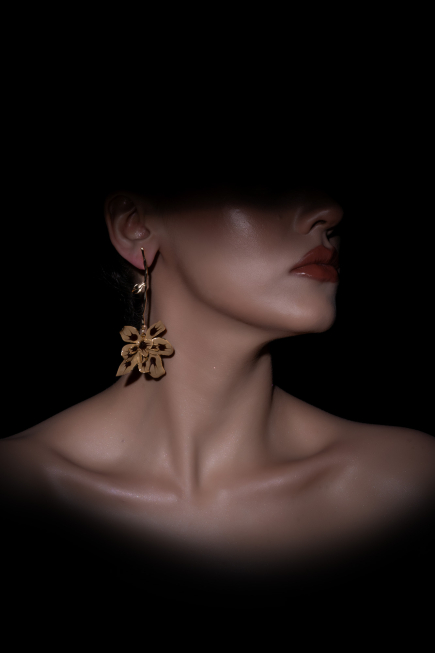 Boucle d'Oreille DF1057